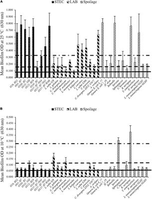 Formation and Transfer of Multi-Species Biofilms Containing E. coli O103:H2 on Food Contact Surfaces to Beef